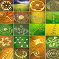 Exposition sur les crop circles - galerie artebello mai 2012 
