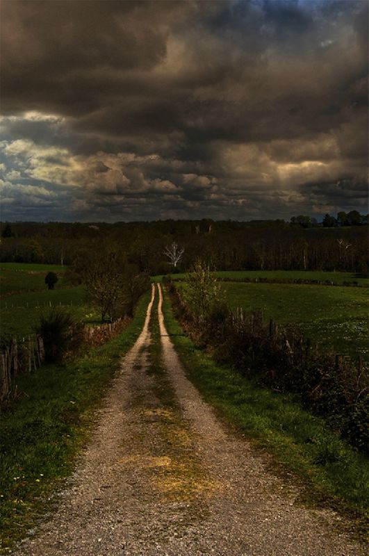 le chemin