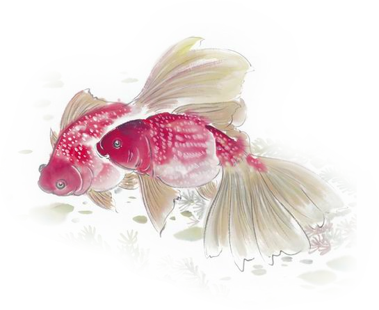 tube poissons 5