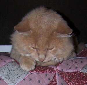 20060925_015