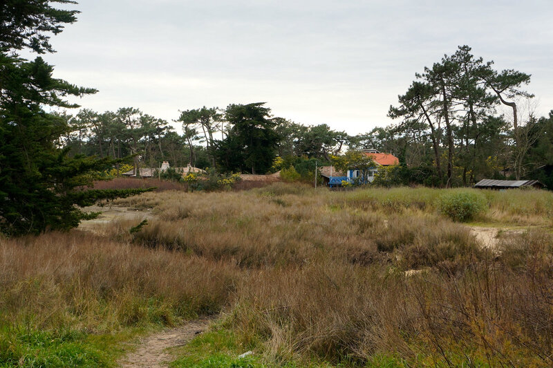 DSC01115