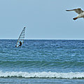 IMG_8884