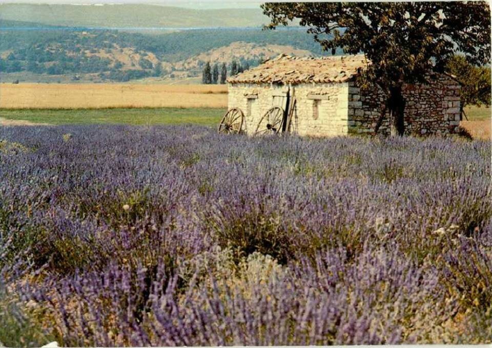 Cabanon de Provence