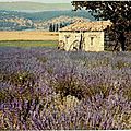 Cabanon de Provence