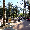 Audubon Park et Zoo (32)