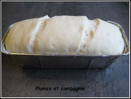 Pain De Mie En Map Ou Moule Plumes Et Compagnie