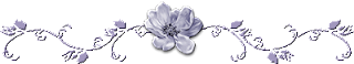 bannière fleur bleue 17 05 2016