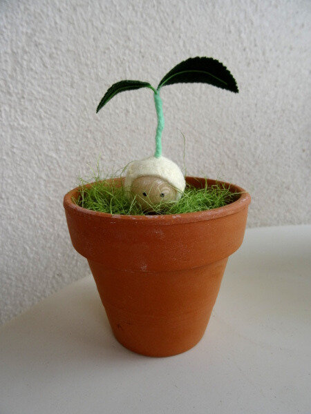 Germination pot
