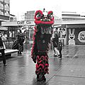 Le nouvel an chinois à rennes le 30 janvier 2016 (2)