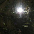 IMG_0929