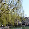 Les jardins du summer palace, beijing