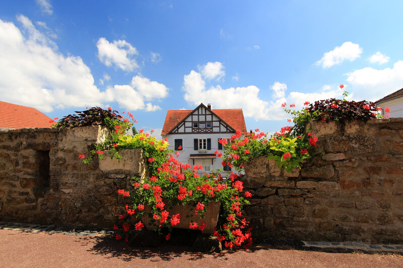 Bruebach (3)