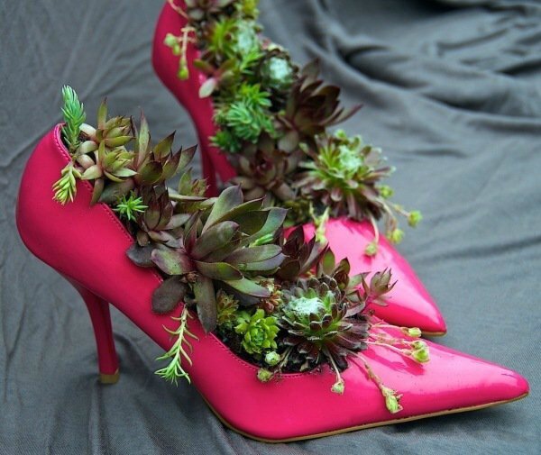 idée-jardin-pot-chaussures-talons-succulentes
