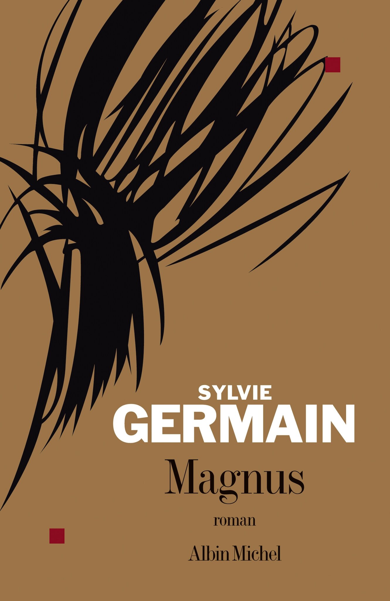Mouvement Littéraire Sylvie Germain Jours De Colere MAGNUS de Sylvie GERMAIN - De Livre en Livres