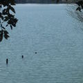 Le lac de la Bonde, le 22.03.09