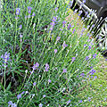 20180610_131519