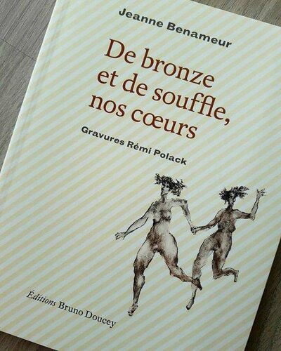 Rendez-vous livre: Coeur Naufrage nouveau roman de Delphine Bertholon