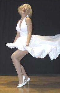 amywind