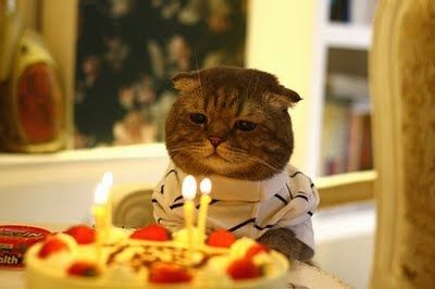Birthday_Cat