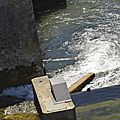 _DSC0167