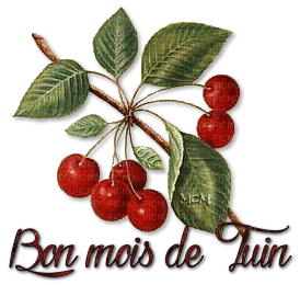 1508443_ba965