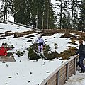 DSC_6360
