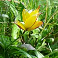 DSC01228