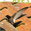 Liens utiles: publications pour adultes (livres, sites, blogs)