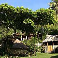 IMG_4295