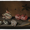 Balthasar van der ast (middelburg 1593/94 - 1657 delft), a tulip, a carnation and roses, with shells and insects, on a ledge