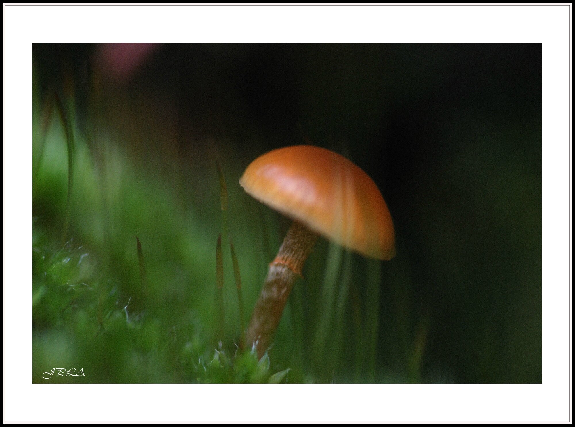 14 01 22 14 01 14 macro 8146 c