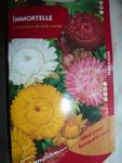 graines fleurs (8)