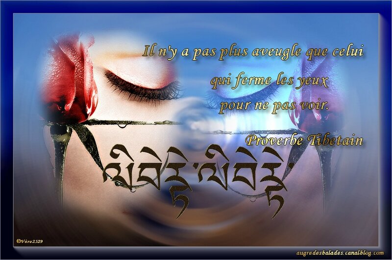 Proverbe Tibetain Il N Y A Pas Plus Aveugle Que Celui Qui Ferme Les Yeux Pour Ne Pas Voir Mosaiques De Lectures Et D Images