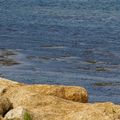 2010-09-14_145814