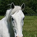 IMG_6472