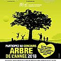 L'édition 2018 du concours arbre de l’année est lancée...