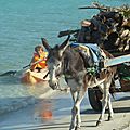 P1050239 (1)