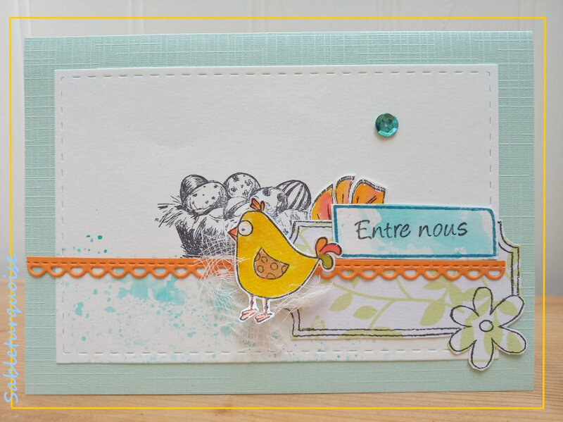 SABLE TURQUOISE dt