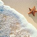 L'etoile de mer sur le sable # histoire inspirante
