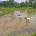 IMG_20180717_154702
