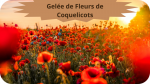 20 COQUELICOT(3)Gelée de Fleurs de Coquelicots-modified