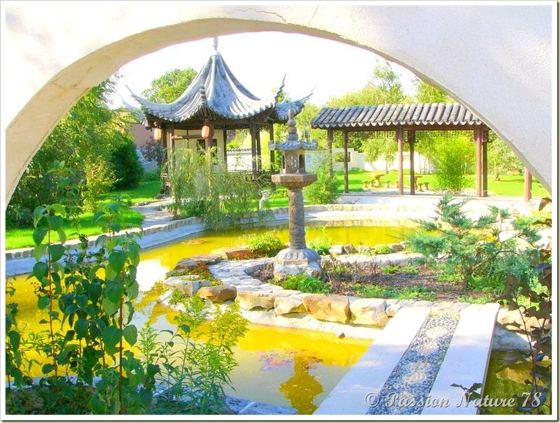 Le jardin Yili (5)