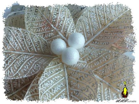 ART 2012 10 poincetia blanc 2