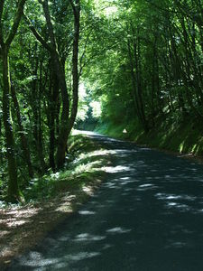 2009_0720_131741AA