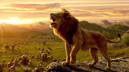 Le Roi Lion» pour la première fois en clair, sur M6