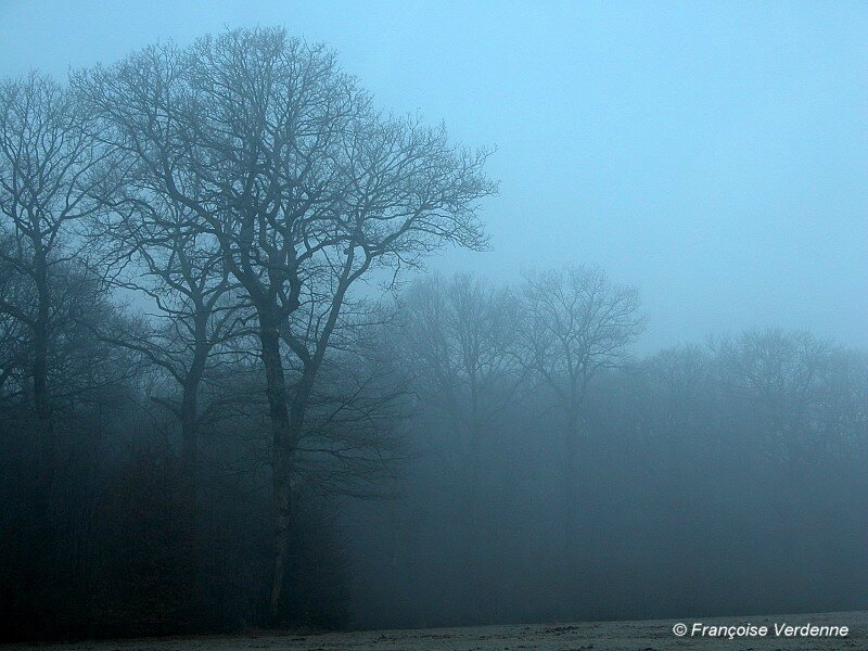 Poesie Le Brouillard De Maurice Careme Mosaiques De Lectures Et D Images