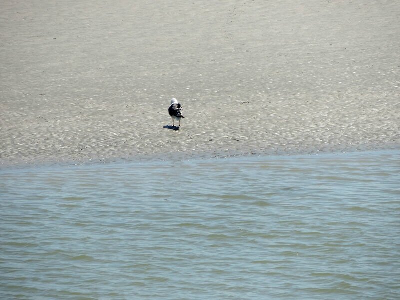 _copie-0_DSCN9279