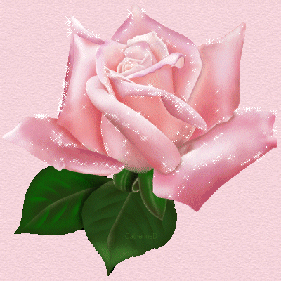 rose rose gif