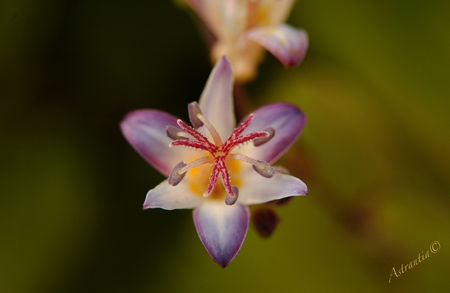 DSC_4145_border