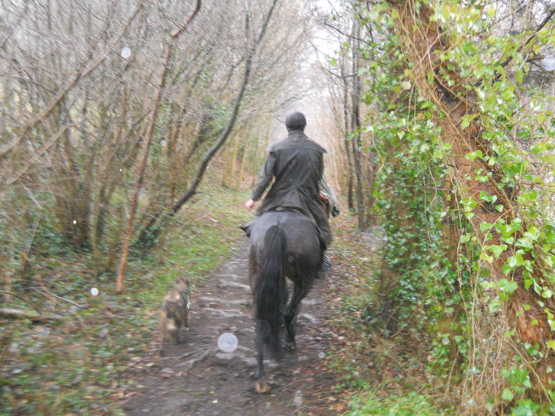 Balade à cheval autour de la vallée de Brouains (1)